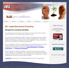 IE Consulting website